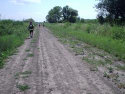 39 Nordic Walking