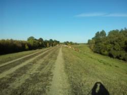 2011-10-16 15.52.07