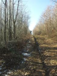 2012-01-21 11.58.29