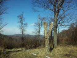 2012-01-21 12.43.42