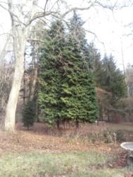 2012-01-21 14.55.35