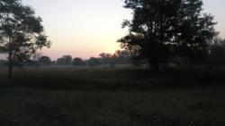 napfelkelte2