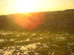 szeged-mak 33 km nw 079