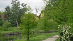 20130512 holt-maros 07