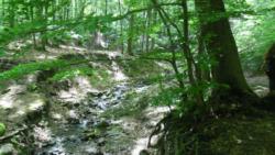 20130518 ram-szakadek 07