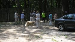 20130811 szarvas 06