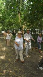 20130811 szarvas 08