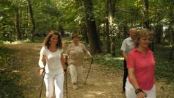 20130811 szarvas 20