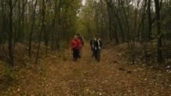20131103 sandorfalva 08