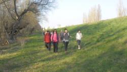 20140309 ujszegedi tisza toltes 14