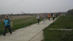 20140315 boszorkany-sziget 19