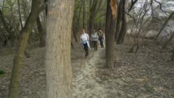 20140323 farkas osveny 06