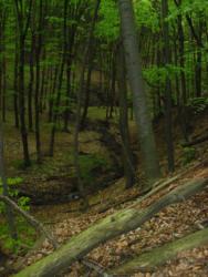 20140418-20 mecsek 20