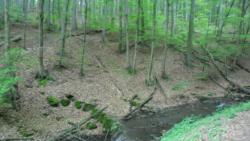 20140418-20 mecsek 39