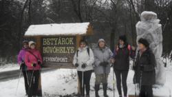 ni betyrok