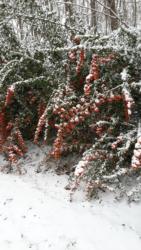 20190105 143651