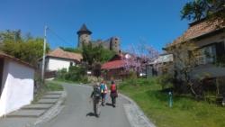 IMG 20190511 114418