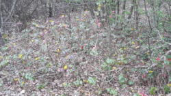20190413 152546