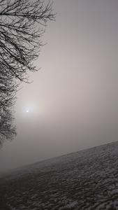 20220116 103748