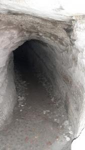 20220314 105339