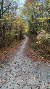 20221031 092033